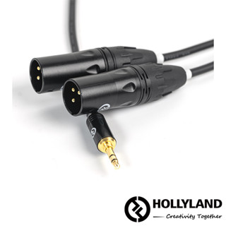 【HOLLYLAND】3.5mm TRS to Dual XLR Audio Cable 音頻線