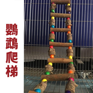 (鸚鵡天空)大中小型鸚鵡攀爬梯雲梯鞦韆啃咬玩具鳥籠軟橋站槓木珠爬梯E07