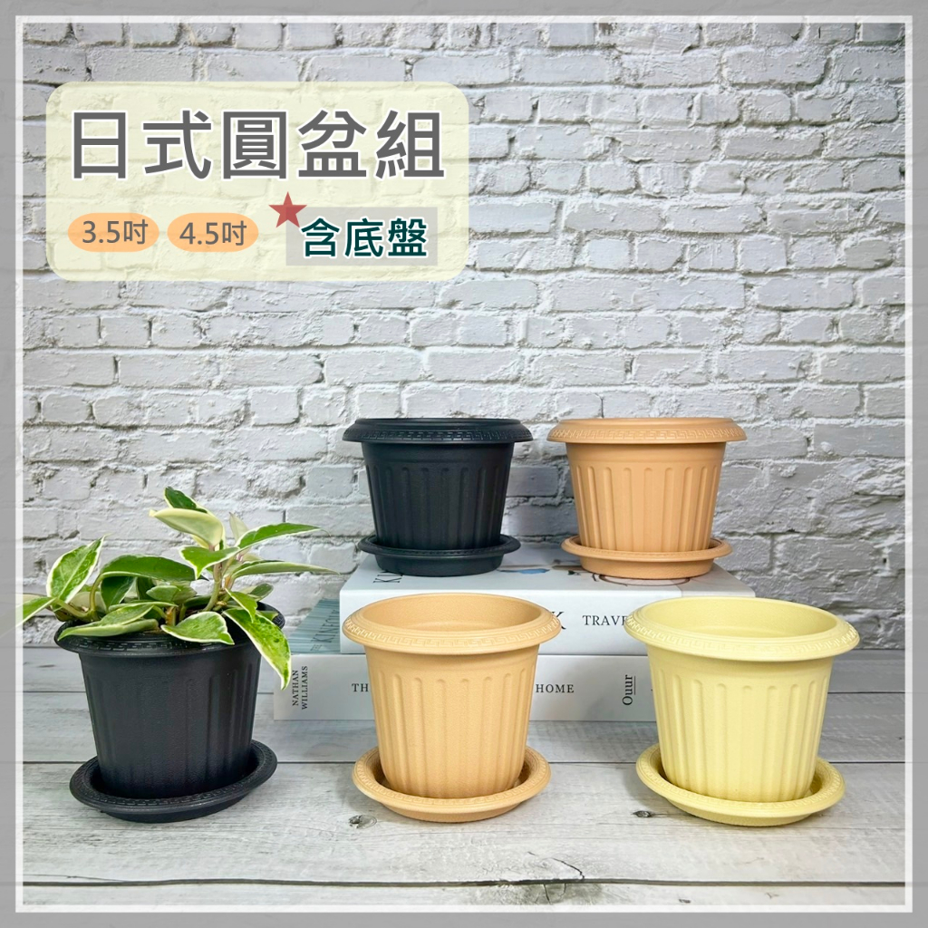 荳吉小舖[現貨]Ming yuan 日式花盆塑膠花盆 圓盆 園藝花盆