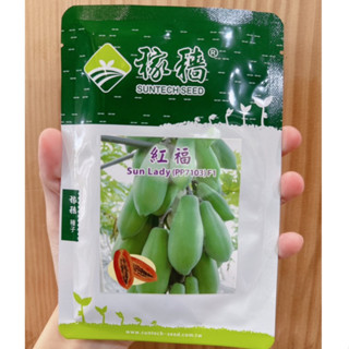 原包裝 紅福木瓜種子 紅骨抗病 5克 約350粒 木瓜種子 稼穡紅福木瓜種子 抗病木瓜種子 紅骨木瓜種子 紅福木瓜種子