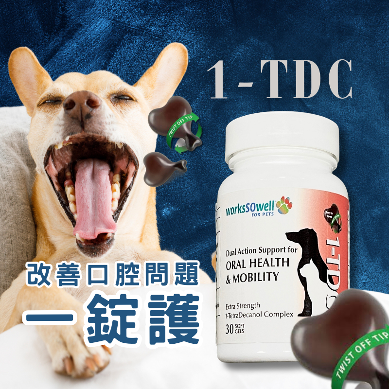 🐶🐱【一嘴毛】❤️ 1-TDC 一錠護  ⭑ 美國賽恩威特 Scienvet  ⭑ 改善口腔問題。口腔健康。