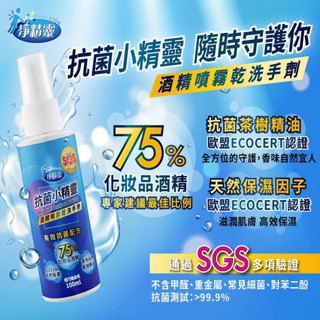 【原廠公司貨】淨精靈 抗菌小精靈 酒精噴霧乾洗手劑 100ml /瓶