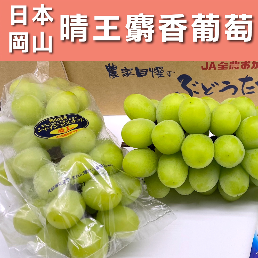 🔥限時下殺🔥(免運)🇯🇵 日本空運晴王麝香葡萄禮盒 單串/兩串 水果禮盒 送禮 麝香葡萄｜水果狼FRUITMAN