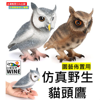 WINE臺灣惟恩 微景觀 模擬野生貓頭鷹 貓頭鷹 鷹 鳥 多肉 盆栽照景 盆栽 造景 室內佈置