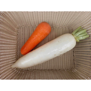 「維特蔬果-批發宅配」菜頭 白蘿蔔 white radish