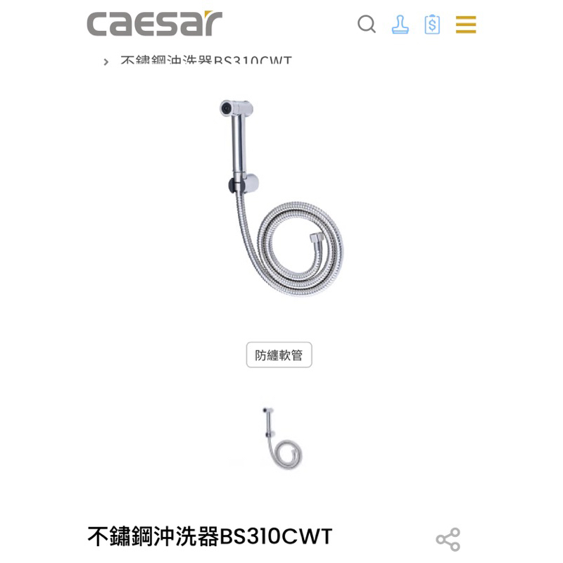 Caesar 凱撒衛浴〗不鏽鋼沖洗器  BS310CWT  洗屁屁 清倉價 沖洗器 不鏽鋼 附三通 水管