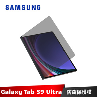 Samsung Galaxy Tab S9 Ultra 平板防窺保護膜 X910 X916