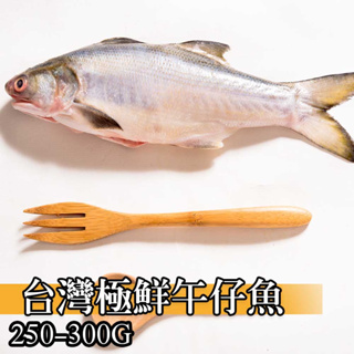 【鮮綠生活】台灣極鮮午仔魚250g-300g
