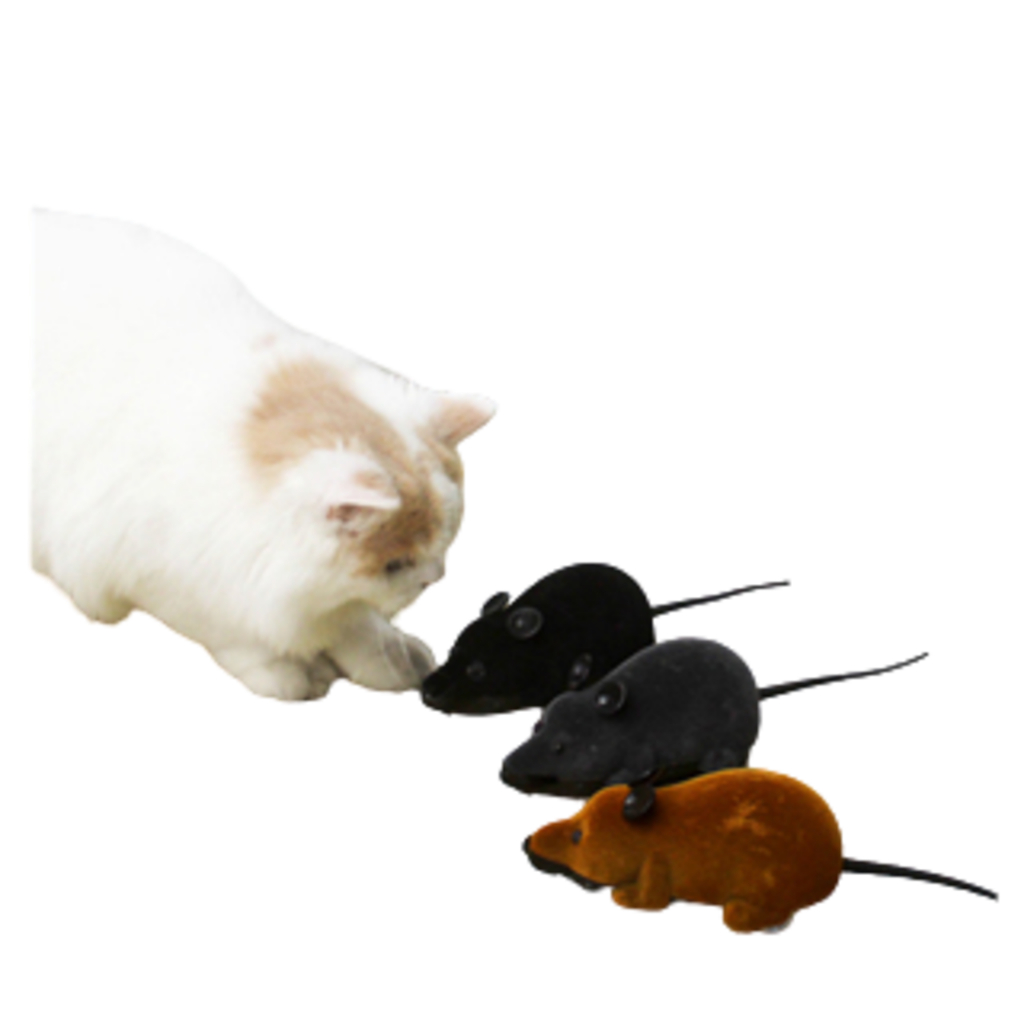 貓玩具老鼠 仿真無線遙控 逗貓神器 自嗨貓咪發聲玩具 毛絨電動老鼠