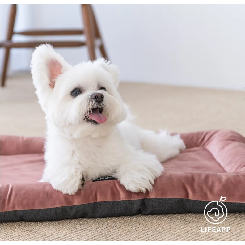 [無價寶] LifeApp 迷你堡 【寵物緩壓睡墊，🐱貓 🐶小型犬適用】寵物床