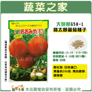 【蔬菜之家滿額免運】大包裝.桃太郎番茄種子0.18克(約70顆) (果肉肥厚.甜度高.蔬菜種子)