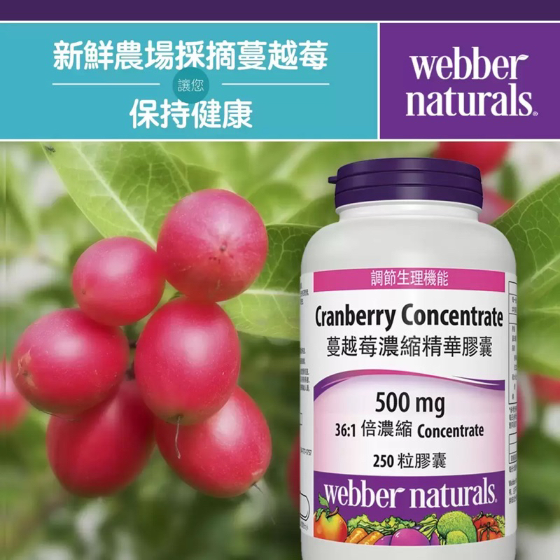 好巿多代購 COSTCO代購 Webber Naturals 蔓越莓濃縮精華膠囊 250粒