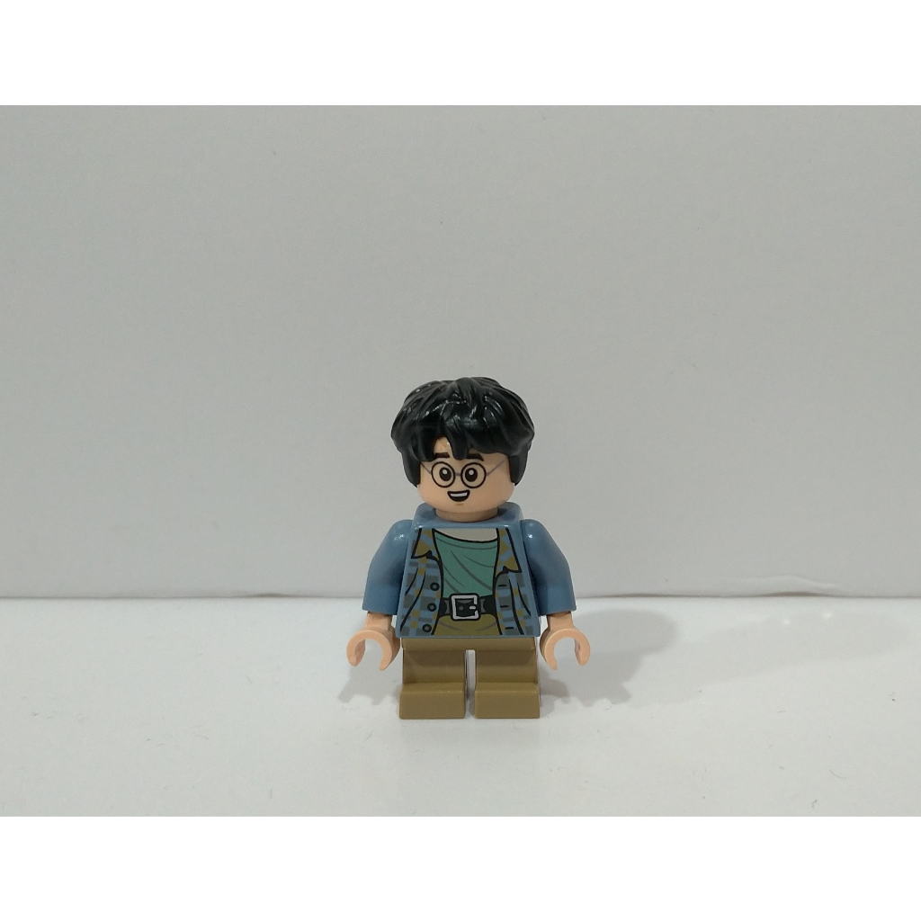 正版 LEGO 樂高 人偶 Harry potter 哈利波特 76390 盒組限定 公仔