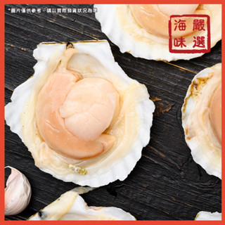 【海味嚴選】半殼扇貝8/9／6~7顆／500g／799免運／扇貝／半殼扇貝／海鮮／貝類／貝肉／海鮮宅配