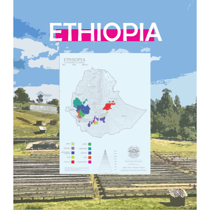 莉普森【咖啡生豆】2023新產季■衣索比亞 水洗 耶珈雪啡 歌迪貝 沃卡 奇奇雷 G1