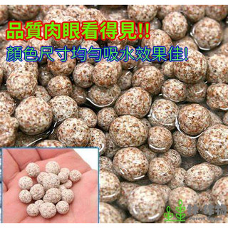 《林作物》中空石英球【1公斤網袋散裝】培菌能力NO1 (好氧菌/厭氧菌同時培養)培菌球 陶瓷珠 陶瓷生物球 濾球 濾材