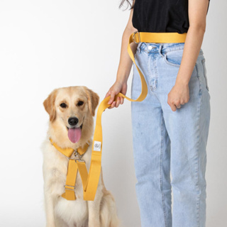 [Glopet]！新品現貨！大型犬牽繩+H型胸背帶 組合優惠