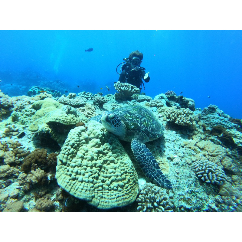 綠島——體驗潛水活動