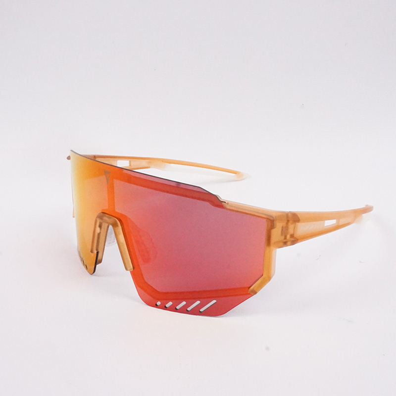 GIANT 101 AP 偏光太陽眼鏡 附近視框 四色可選 戶外運動 自行車太陽眼鏡 吉興單車