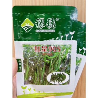 城禾農產🍃 不辣辣椒 青龍椒 不辣椒 不辣 辣椒種子 糯米椒青龍 青龍辣椒 青龍種子 糯米椒種子 不辣辣椒 青龍辣椒種子