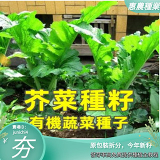 芥菜種籽四季播種非轉基因農傢田園春鞦季客傢痠菜有機蔬菜種子【惠農園藝】
