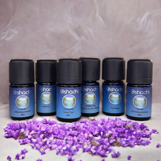 現貨💎德國 歐莎迪 Oshadhi 精油 5ml 10ml 茶樹/薰衣草/尤加利/澳洲/有機 附發票