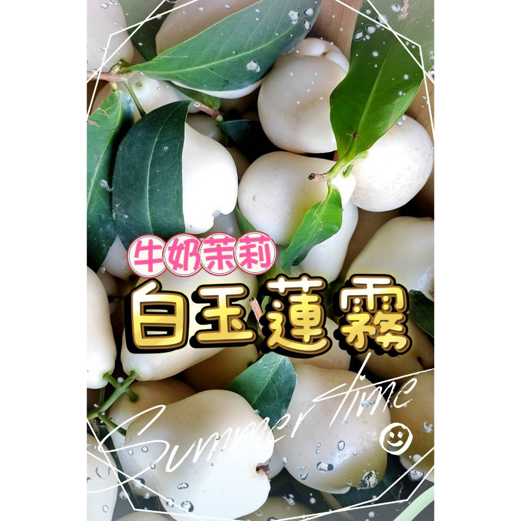 白玉蓮霧的價格推薦- 2026年6月| 比價比個夠BigGo