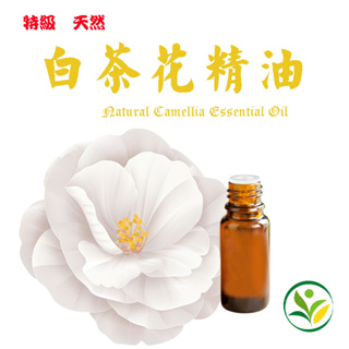 白茶花精油 白山茶花精油 頂級天然單方精油 植物精油 Natural Camellia