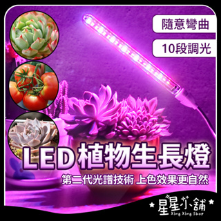 台灣現貨 植物燈 led植物生長燈 USB led植物生長燈 花卉 水草燈 多肉植物燈 紅藍燈 補光燈