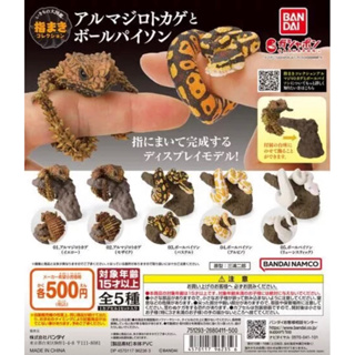 全新現貨Bandai生物圖鑑 捲手指收藏 犰狳蜥與球蟒 扭蛋