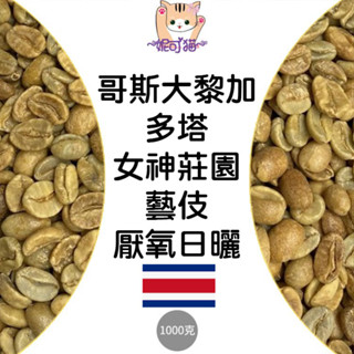1kg生豆 哥斯大黎加 多塔 女神莊園 藝伎 厭氧日曬《咖啡生豆工廠×尋豆~只為飄香臺灣》生咖啡豆 生豆 精品豆