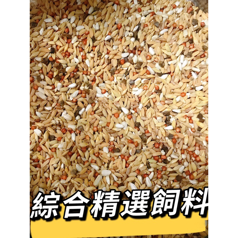 「鴿鴿養」斑鳩飼料 鴿子飼料 清除飼料 種鴿飼料 綜合鼠飼料 野鳥飼料 鸚鵡飼料