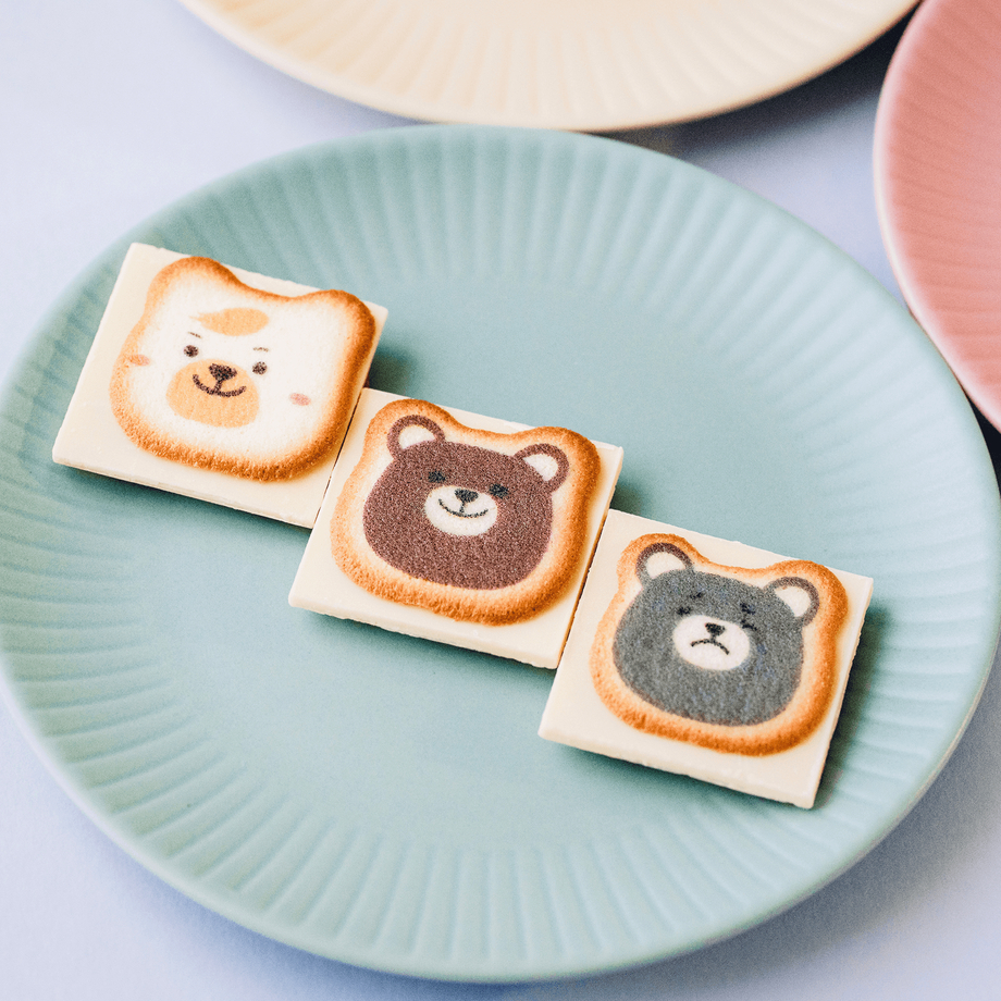 現貨+預購 日本 信州 長野 伴手禮 小熊造型 夾心餅乾 小熊 熊熊 白熊 餅乾 巧克力 禮盒 貓舌餅 咖熊