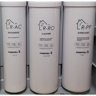 水專家=RO500PP EVERPOLL愛科 直出RO淨水器RO500 濾心 RO600濾心 RO500PC RO500