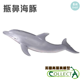 collectA 瓶鼻海豚 英國高擬真模型