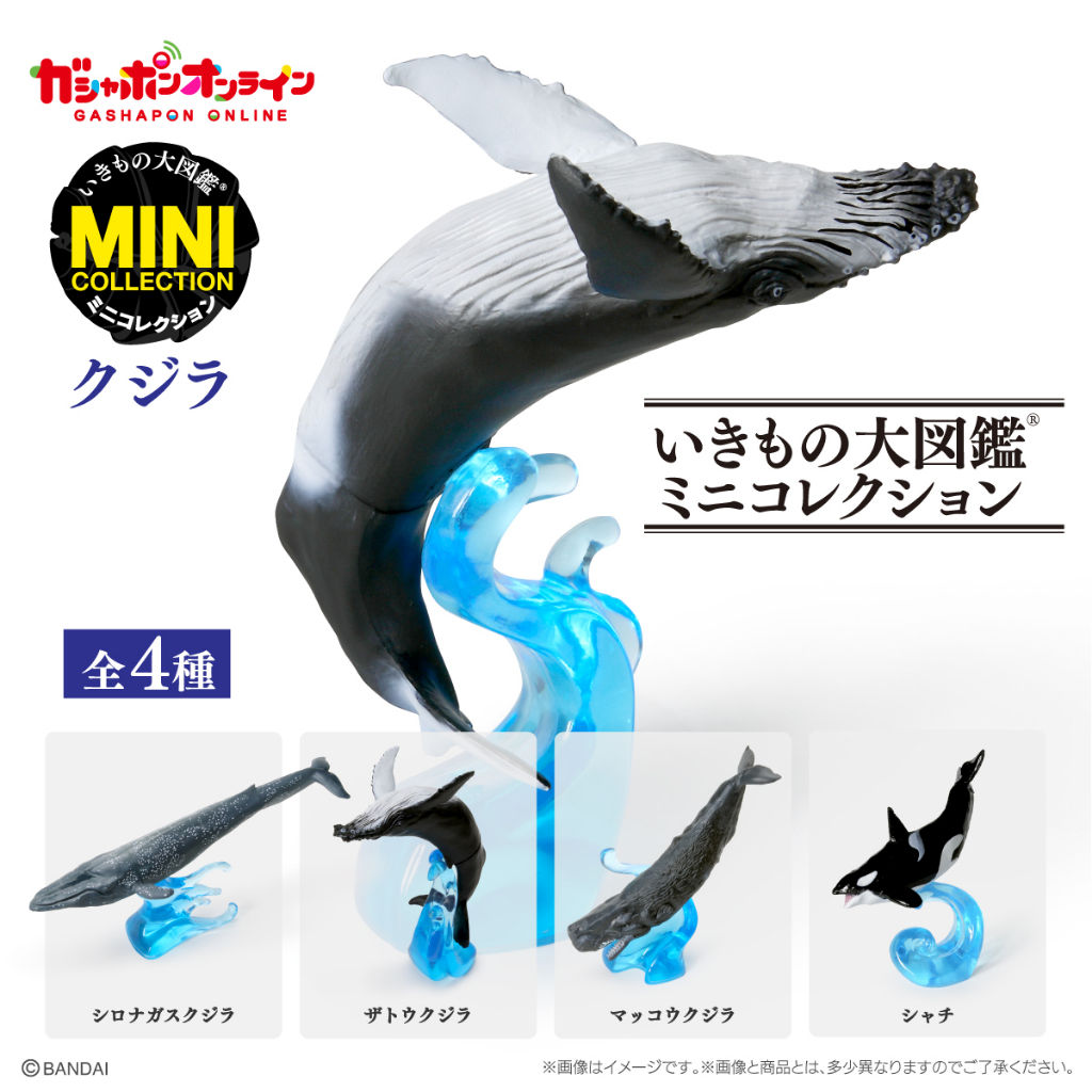 現貨BANDAI 扭蛋生物大圖鑑-鯨魚的價格推薦- 2025年12月| 比價比個夠BigGo