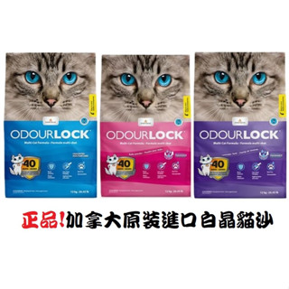 【現貨】 Intersand 白晶貓砂除臭凝結細沙12kg 加拿大原裝進口 白晶貓砂 貓砂 礦砂 廁所砂 貓沙