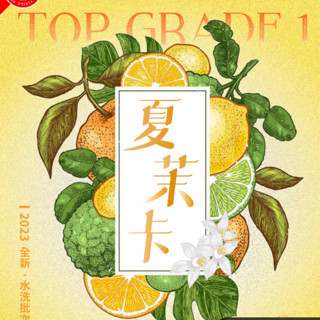 【悠漫咖啡】夏茉卡處理站 水洗 耶加雪菲 頂級 G1 74110 手沖咖啡 單品咖啡 單品手沖 咖啡豆