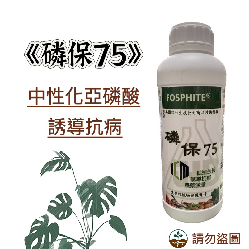 《磷保75》美國佳和 免登植保資材 75%中性化亞磷酸 誘導抗病 液態葉面殺菌 疫病 炭疽病 灰黴病 白粉病