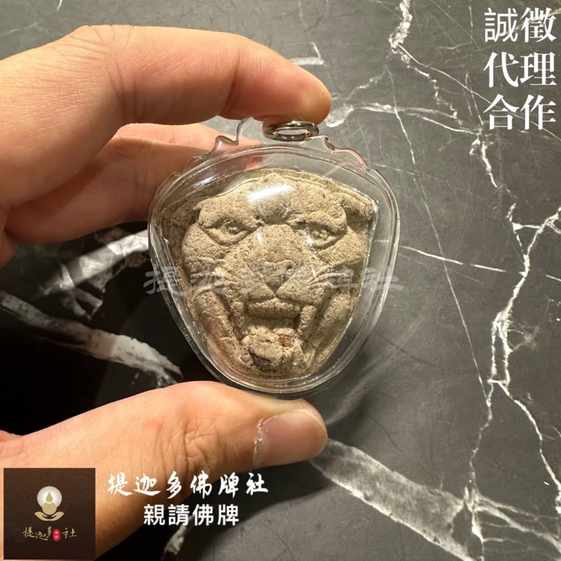 【提迦多佛牌社】權貴 虎王 老虎 暴力 招財 升職 升官 競爭 說服力 擋災 官司 口舌 貴人 工作 泰國 佛牌 正磁場