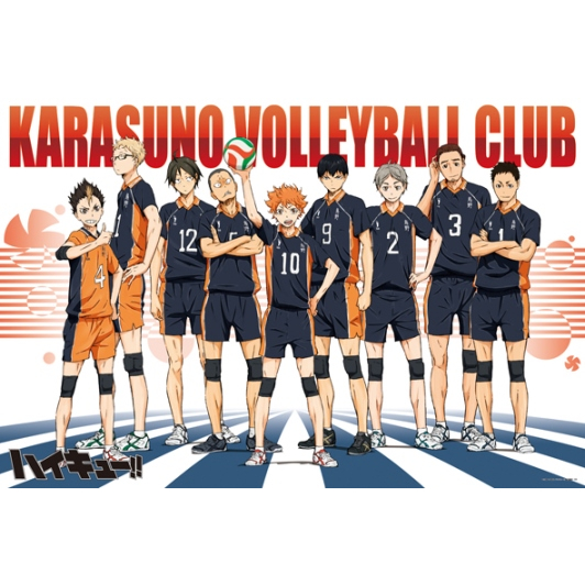 1000-505  絕版1000片日本進口拼圖 排球少年 HAIKYU ! ! CHRONICLES 烏野高校排球部