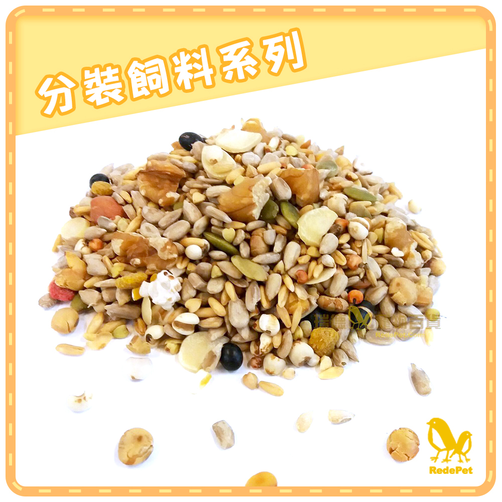 中大型鸚鵡綜合無殼飼料 100g ~附含多種無殼穀物~適合鸚鵡/松鼠/蜜袋鼯/倉鼠等小寵物食用 鸚鵡飼料 鳥飼料