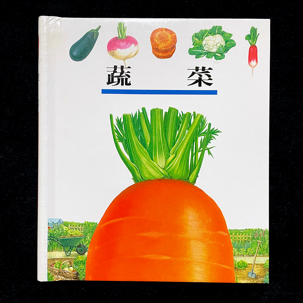 ◇安琪書坊◇－《8．童書繪本》理科｜第一個發現｜44蔬菜（七成新）