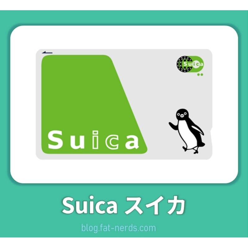 絕版超好用的日本 西瓜卡 sucia 悠遊卡 無記名 現貨