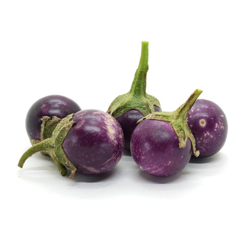 泰國紫圓茄種子~小果品種，常用於泰國咖哩~Thai round eggplant