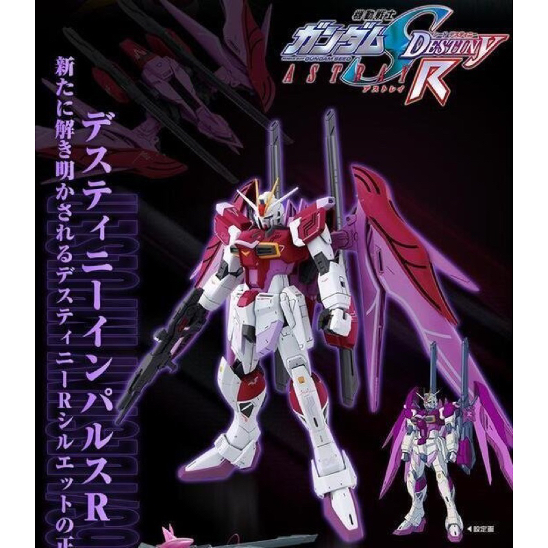 現貨 萬代PB限定 Mg 命運脈衝鋼彈 R Destiny Impulse Gundam R