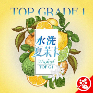 【K.J.S咖啡生豆】★500g包裝★衣索比亞 耶加雪菲 夏茉卡處理站 水洗 TOP 頂級 G1