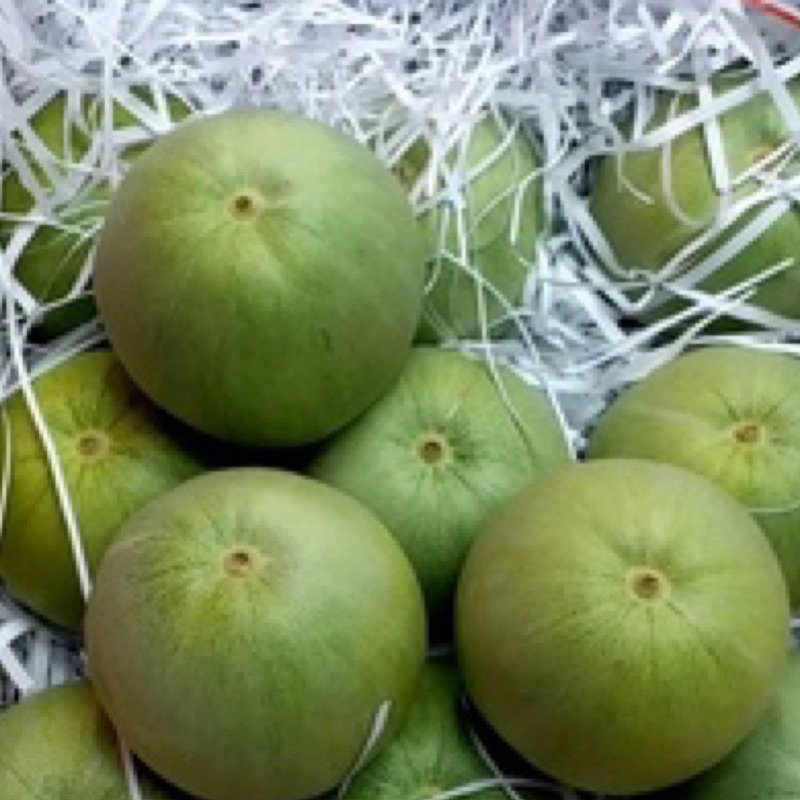 【台灣哈密瓜新品種-翠妞-2】吃起來有哈密瓜香氣的清爽果香 翠妞瓜甜 皮較薄 居然還可以帶皮食用 外型相似香瓜