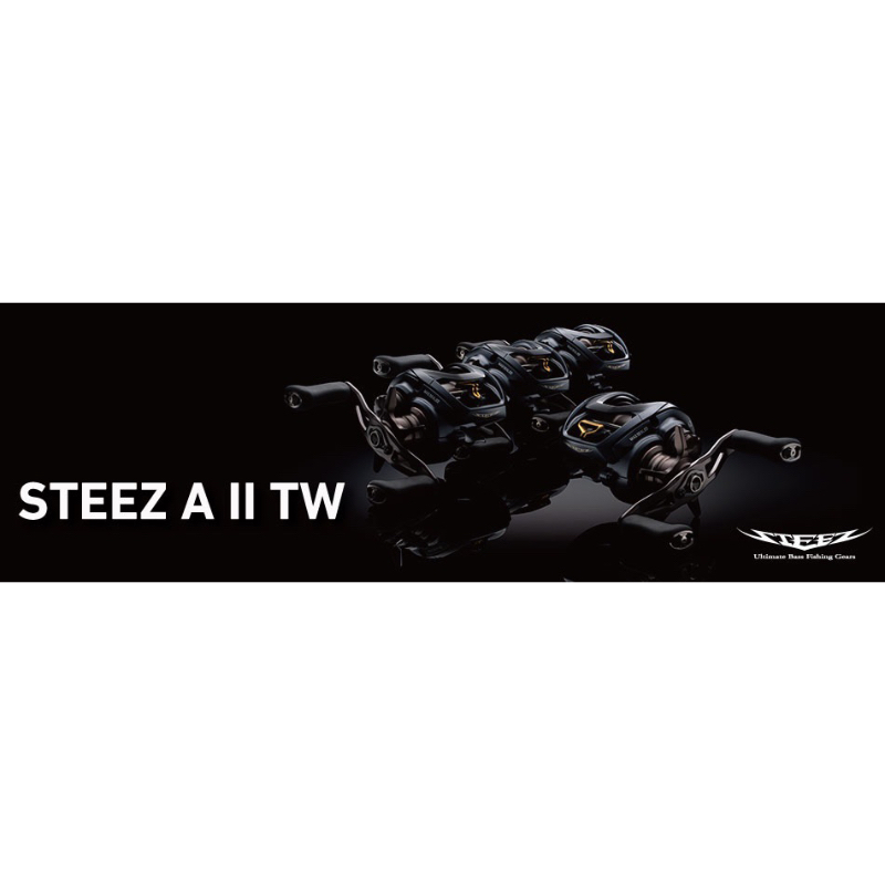 =佳樂釣具= DAIWA STEEZ AII TW 1000XH 1000XHL 小烏龜 路亞