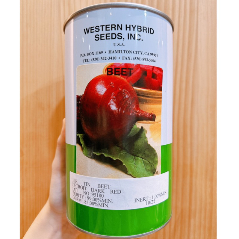 原包裝 1磅 美國甜菜根種子 美國原罐進口 甜菜根種子 美國甜菜根種子 紅甜菜根種子 紅色甜菜根種子 甜菜種子 菜根種子